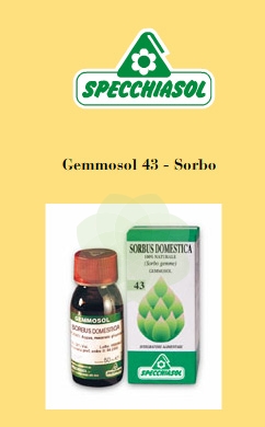 GEMMOSOL 43 SORBO 50ML - Farmaciapacini.it
