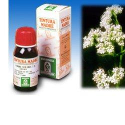 VALERIANA 36 TINTURA MADRE 50 ML - Farmaciapacini.it