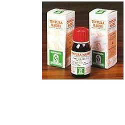 ERISIMO 61 50ML TM - Farmaciapacini.it