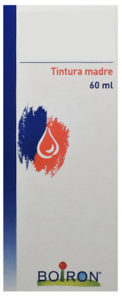 THUYA OCCIDENTALIS TINTURA MADRE 60 ML - Farmaciapacini.it