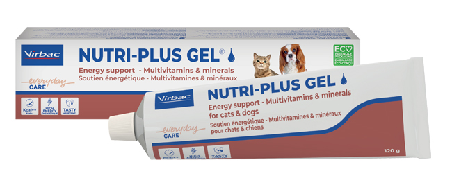 NUTRIPLUS GEL PASTA ORALE 120 G - Farmaciapacini.it