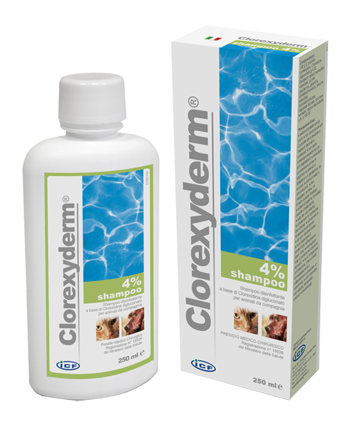 CLOREXYDERM SHAMPOO 4% 250 ML - Farmaciapacini.it