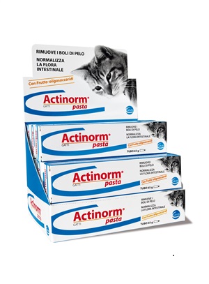 ACTINORM PASTA GATTI 65 G - Farmaciapacini.it