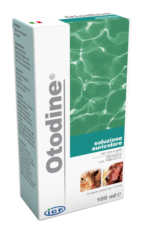 OTODINE DETERGENTE LIQUIDO 50 ML - Farmaciapacini.it
