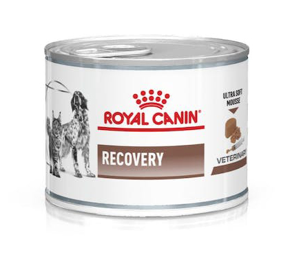 VETERINARY DIET WET DOG & CAT RECOVERY 195 G - Farmaciapacini.it