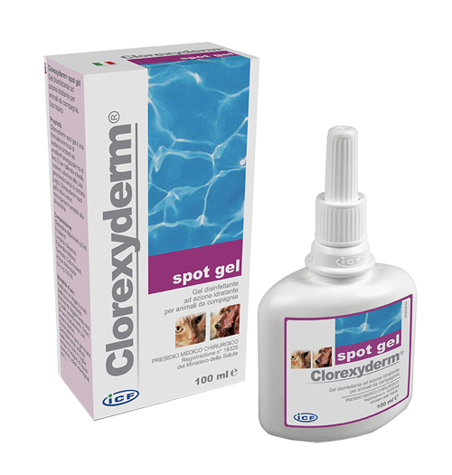 CLOREXYDERM SPOT GEL 100 ML - Farmaciapacini.it