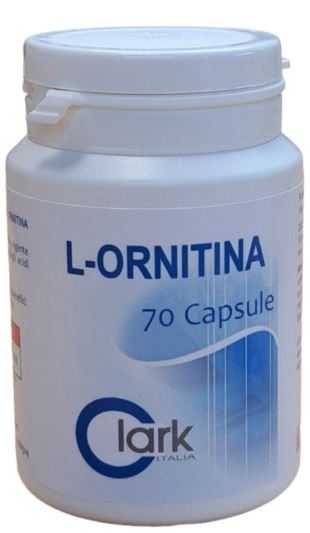 L ORNITINA 70 CAPSULE - Farmaciapacini.it