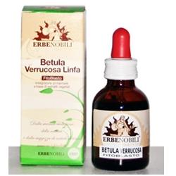 FITOBLASTO BETULLA VERRUCOSA LINFA 50 ML - Farmaciapacini.it