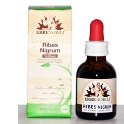 FITOBLASTO RIBES NIGRUM 50 ML - Farmaciapacini.it