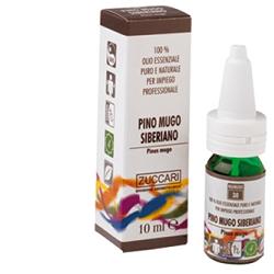 PINO MUGO SIBERIANO OLIO ESSENZIALE NATURALE 10 ML - Farmaciapacini.it