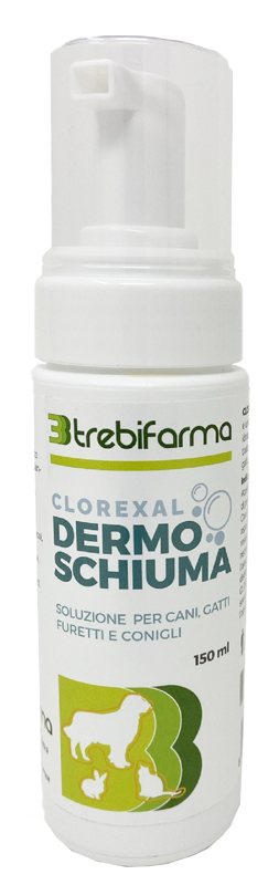 CLOREXAL DERMOSCHIUMA 150 ML - Farmaciapacini.it