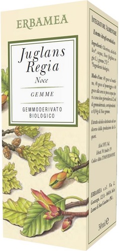 JUGLANS REGIA NOCE BIO 50 ML - Farmaciapacini.it