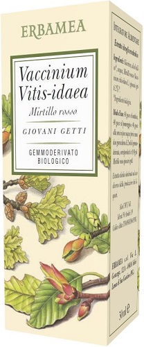 VACCINIUM VITIS IDAEA MIRTILLO ROSSO BIO 50 ML - Farmaciapacini.it