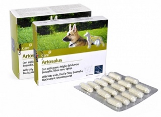 ARTOSALUS COMPRESSE 30 COMPRESSE - Farmaciapacini.it