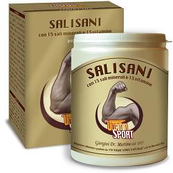 SALISANI VITAMINSPORT 360 G POLVERE - Farmaciapacini.it