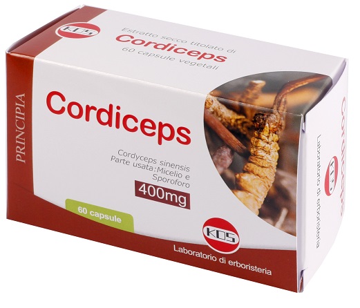 CORDICEPS ESTRATTO SECCO 60 CAPSULE - Farmaciapacini.it