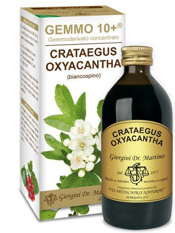 GEMMO 10+ BIANCOSPINO LIQUIDO ANALCOLICO 200 ML - Farmaciapacini.it