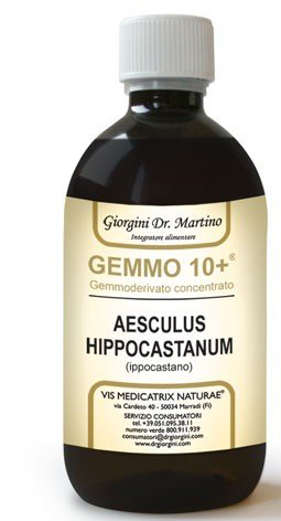 GEMOO 10+ GEMMODERIVATO CONCENTRATO IPPOCASTANO LIQUIDO ANALCOLICO AESCULUS HIPPOCASTANUM IPPOCASTANO 500 ML - Farmaciapacini.it