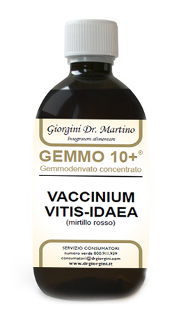 GEMMO 10+ MIRTILLO ROSSO LIQUIDO ANALCOLICO 500 ML - Farmaciapacini.it