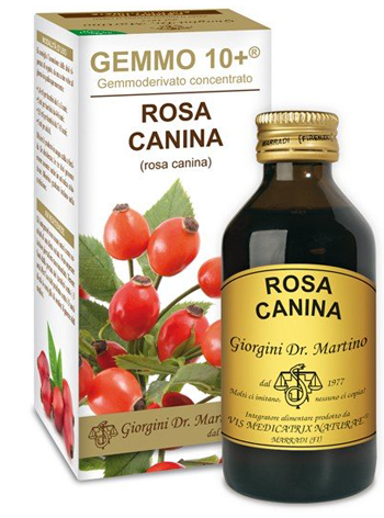 GEMMO 10+ ROSA CANINA LIQUIDO ANALCOLICO 100 ML - Farmaciapacini.it