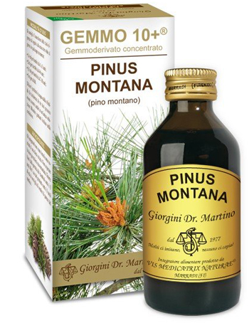 GEMMO 10+ PINO MONTANO 100 ML LIQUIDO ANALCOLICO - Farmaciapacini.it