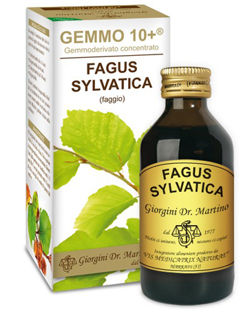 GEMMO 10+ FAGGIO 100 ML LIQUIDO ANALCOLICO - Farmaciapacini.it