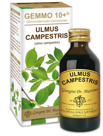 GEMMO 10+ OLMO CAMPESTRE 100 ML LIQUIDO ANALCOLICO - Farmaciapacini.it
