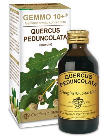 GEMMO 10+ QUERCIA 100 ML LIQUIDO ANALCOLICO - Farmaciapacini.it