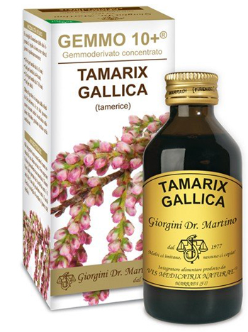 GEMMO 10+ TAMERICE 100 ML LIQUIDO ANALCOLICO - Farmaciapacini.it