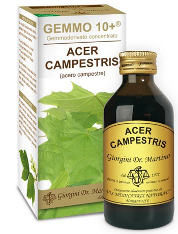 GEMMO 10+ ACERO CAMPESTRE 100 ML LIQUIDO ANALCOLICO - Farmaciapacini.it