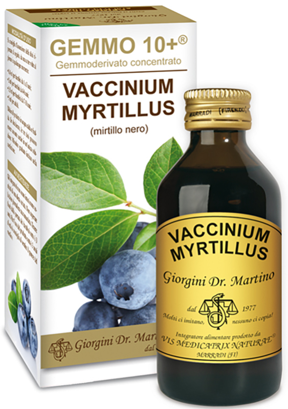 GEMMO 10+ GEMMODERIVATO CONCENTRATO VACCINIUM MYRTILLUS MIRTILLO NERO SENZA ALCOOL 100 ML - Farmaciapacini.it