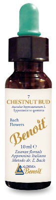 FIORI DI BACH BENOIT CHESTNUT BUD 10 ML - Farmaciapacini.it