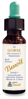 FIORI DI BACH BENOIT GORSE 10 ML - Farmaciapacini.it