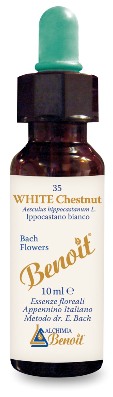 FIORI DI BACH BENOIT WHITE CHESTNUT 10 ML - Farmaciapacini.it