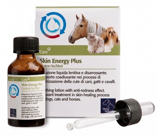 AKIN ENERGY PLUS CROTON 20 ML - Farmaciapacini.it