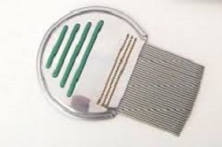 PETTINE ACCIAIO PER RIMOZIONE PIDOCCHI - Farmaciapacini.it