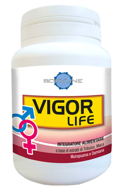 VIGOR LIFE 40 CAPSULE - Farmaciapacini.it