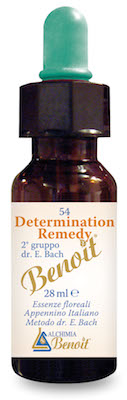 DETERMINATION REMEDY 28 ML - Farmaciapacini.it