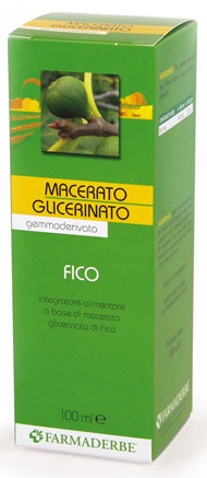 MACERATO GLICERICO FICO GEMME FICUS CARICA 100 ML - Farmaciapacini.it