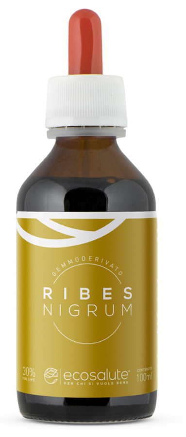 RIBES NIGRUM GEMMODERIVATO 100 ML - Farmaciapacini.it