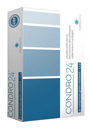 CONDRO24 30 COMPRESSE - Farmaciapacini.it