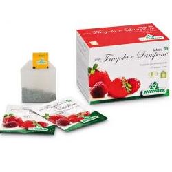 INFUSO FRAGOLA/LAMPONE 20 FILTRI - Farmaciapacini.it