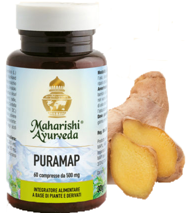 PURAMAP 60 COMPRESSE - Farmaciapacini.it