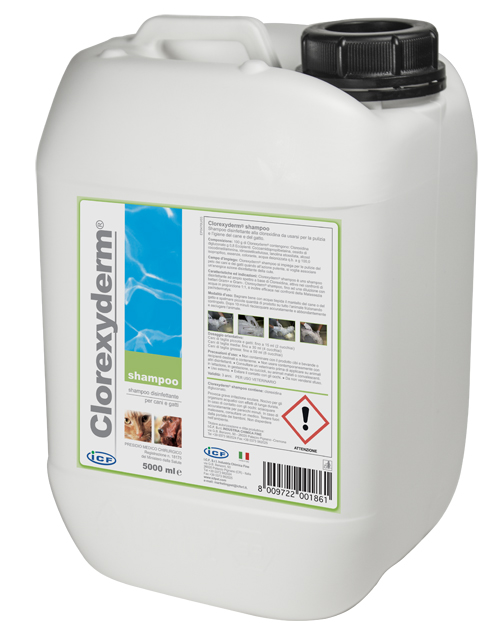 CLOREXYDERM SHAMPOO 5 LITRI - Farmaciapacini.it