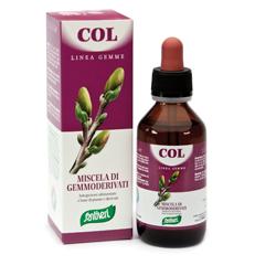 ZEFIRUS COL LINEA GEMME - Farmaciapacini.it