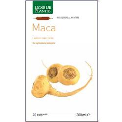 MACA BIO 20 AMPOLLE BEVIBILI DA 15 ML - Farmaciapacini.it