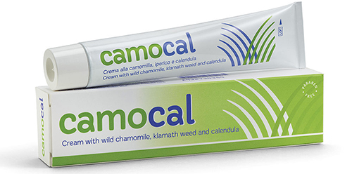 CREMA VEGETALE PER LE AFFEZIONI ANALI CAMOCAL 50 ML - Farmaciapacini.it