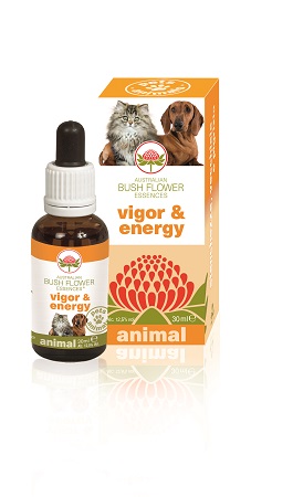 VIGOR & ENERGY 30 ML - Farmaciapacini.it
