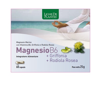MAGNESIO B6 + GRIFFONIA + RODIOLA 60 CAPSULE - Farmaciapacini.it