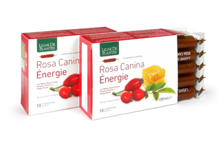 ROSA CANINA ENERGIE BIOLOGICO 10 AMPOLLE BEVIBILI DA 10 ML - Farmaciapacini.it